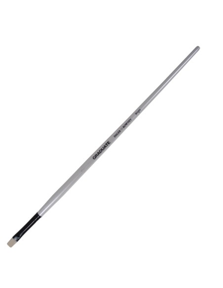 Pennello setola naturale Graduate piatto corto n.10 manico lungo Daler Rowney D212141010