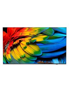 Philips 50HFL6214U 127 cm (50) 4K Ultra HD Smart TV Wi-Fi Antracite 400 cd/m² Display arrotolabile
