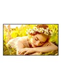 LG 43UL5Q-E visualizzatore di messaggi Pannello piatto per segnaletica digitale 109,2 cm (43) LED Wi-Fi 500 cd/m² 4K Ultra HD Ne