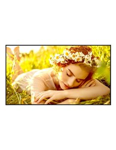 LG 43UL5Q-E visualizzatore di messaggi Pannello piatto per segnaletica digitale 109,2 cm (43) LED Wi-Fi 500 cd/m² 4K Ultra HD Ne