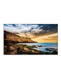 Samsung QE50T Pannello piatto per segnaletica digitale 127 cm (50) LED 300 cd/m² 4K Ultra HD Nero Tizen 4.0
