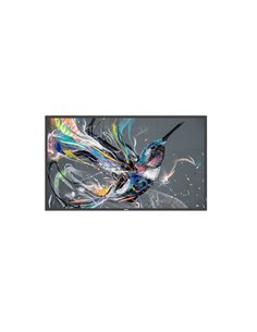 Philips 50BDL3511Q/00 visualizzatore di messaggi Pannello A digitale 127 cm (50) 500 cd/m² 4K Ultra HD Nero 18/7
