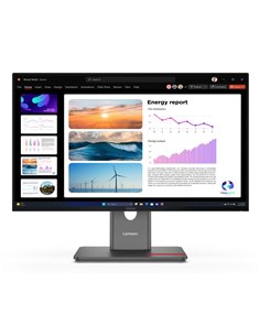 Lenovo ThinkVision P24Q-40 Monitor 2