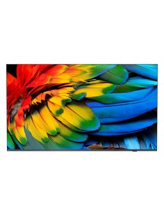 Philips 50HFL6214U 127 cm (50) 4K Ultra HD Smart TV Wi-Fi Antracite 400 cd/m² Display arrotolabile