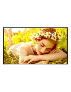 LG 43UL5Q-E visualizzatore di messaggi Pannello piatto per segnaletica digitale 109,2 cm (43) LED Wi-Fi 500 cd/m² 4K Ultra HD Ne
