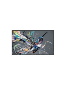 Philips 50BDL3511Q/00 visualizzatore di messaggi Pannello A digitale 127 cm (50) 500 cd/m² 4K Ultra HD Nero 18/7